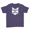 meow or never Youth Tee