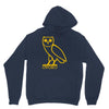 drake, ovoxo owl Hoodie