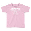 Smartass December Girl Toddler T-shirt