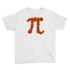 pumpkin pi Youth Tee