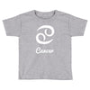 cancer zodiac Toddler T-shirt