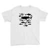 shark chart light blue t shirt Youth Tee