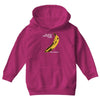 the velvet underground rock music band Youth Hoodie