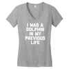 i was a dolphin in my previous life Women's V-Neck T-Shirt