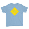 dark passenger on board Youth Tee