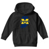 Indiana for Michigan - Limited edition Youth Hoodie
