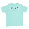 i ate sum pi t shirt s m l xl 2xl 3xl funny nerdy geeky college awesom Youth Tee