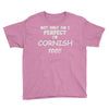 perfect cornish Youth Tee