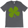 irish (2) T-Shirt
