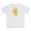 vermilion gym Youth Tee