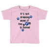 IT'S NOT DRINKING ALONE IF THE DOG IS HOME! Toddler T-shirt