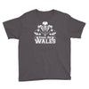 come on wales funny nations rugby Youth Tee