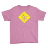 walter white danger Youth Tee