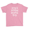 go f yourself hebrew letter upside down funny Youth Tee