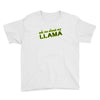ask me about my llama Youth Tee
