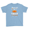 sweet as pumpkin pi Youth Tee