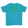 if you don't talk to your cat about cat nip who will Youth Tee