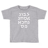 go f yourself hebrew letter upside down funny Toddler T-shirt