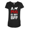 a pug is my bff Maternity Scoop Neck T-shirt