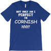 perfect cornish T-Shirt