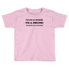 im not an alcoholic im a drunk t shirt x large funny beer pong keg par Toddler T-shirt