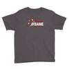 i am not insane Youth Tee
