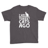i was normal three cats ago lol funny cat Youth Tee