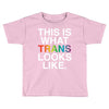 This Is What Trans Looks Like Toddler T-shirt