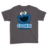 Cookie Monster Youth Tee