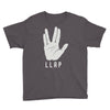 llap Youth Tee