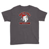 north pole santa claus Youth Tee