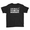 Animals Are Not Ingredients Youth Tee