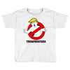 Trumpbusters Toddler T-shirt