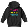 pansexual pride Youth Hoodie