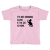 its not Toddler T-shirt