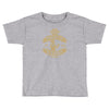 why would you put that on the internet Toddler T-shirt