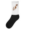 discovery Socks