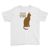 im an animal in bed Youth Tee
