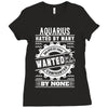 Aquarius Hated By Many Wanted By Plenty Ladies Fitted T-Shirt