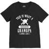 This Is What A Bad Ass Grandpa Looks Like V-Neck Tee