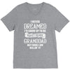 Perfect Freakin Granddad V-Neck Tee