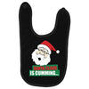 santas cumming Baby Bibs