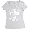 if i can't bring my dog i'm not going Women's Triblend Scoop T-shirt
