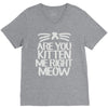are you kitten me right meow V-Neck Tee