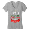 have a merry christmas and a happy new year Women's V-Neck T-Shirt