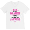 The Best Grammy Was Born In January V-Neck Tee