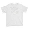 perfect welsh Youth Tee