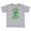 destroy the patriarchy Toddler T-shirt