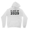 class of 2029 Youth Hoodie