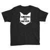 meow or never Youth Tee